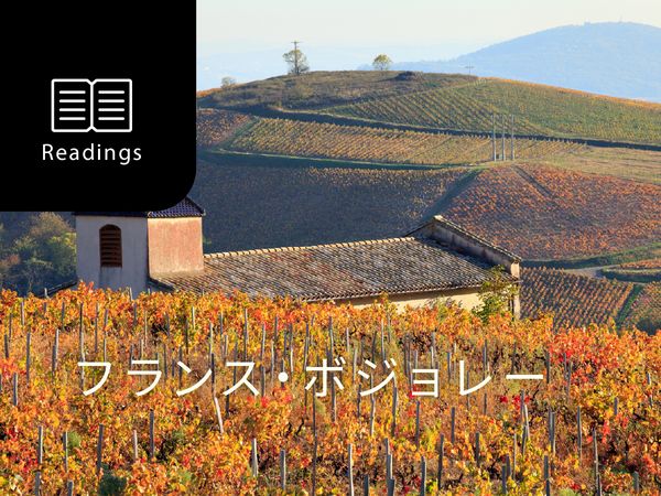 ワイン産地を知ろう！ボジョレー