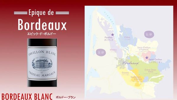 Epique de Bordeaux「エピック・ド・ボルドー」