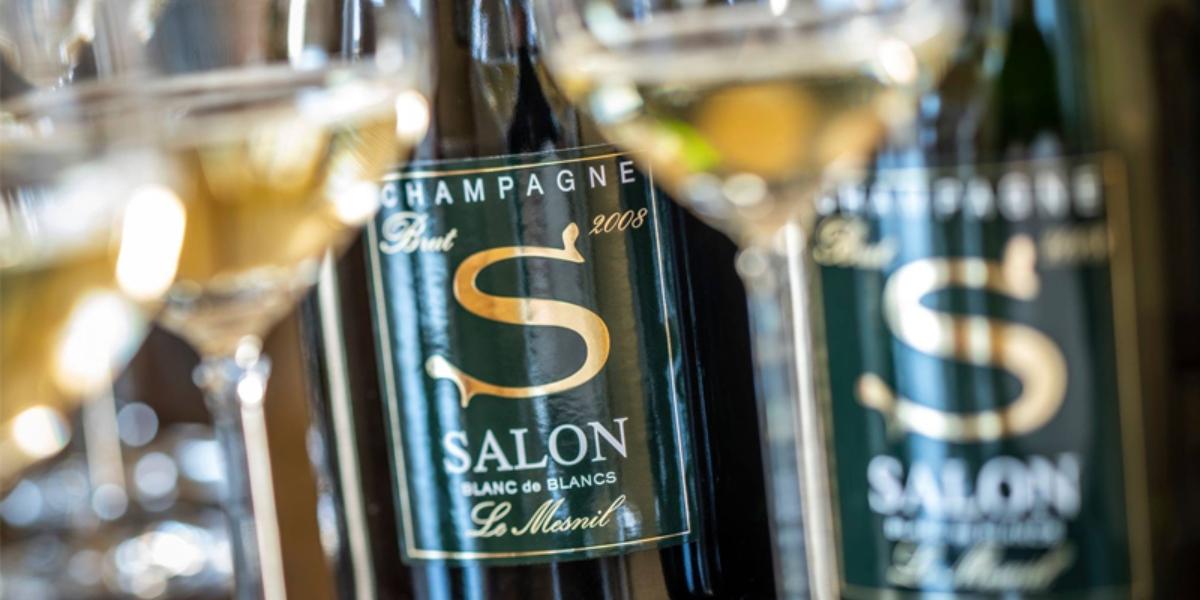 サロン (ドゥラモット) / SALON (DELAMOTTE)