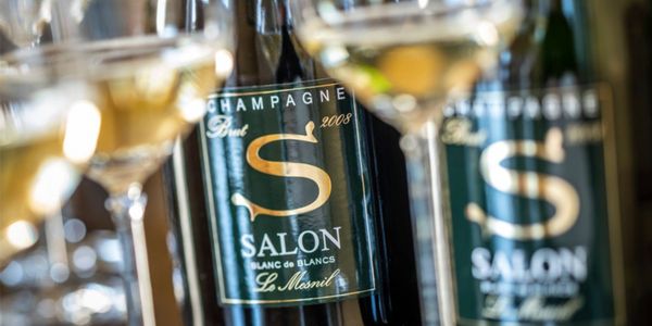 サロン (ドゥラモット) / SALON (DELAMOTTE)