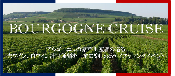 メインブログ画像