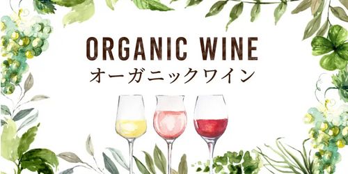 ブログメイン画像