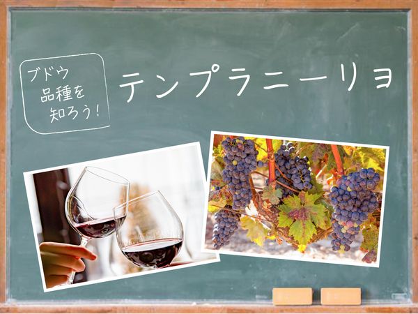 【ブドウ品種を知ろう】テンプラニーリョとは？