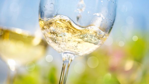 ピュリニー・モンラッシェの名門エティエンヌ・ソゼのプルミエ・クリュを愉しむ