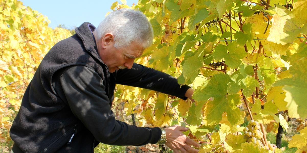 トリンバック / TRIMBACH