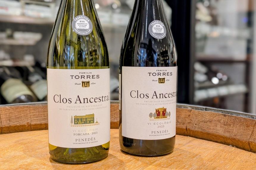 店内に置かれたワインボトル写真