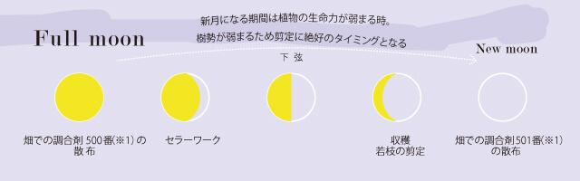 満月から新月