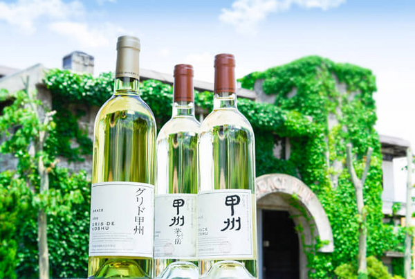日本を代表する白ワインで使用されるブドウ品種、甲州