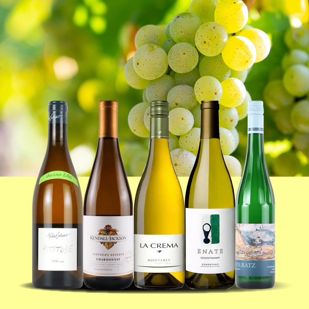 ＜ENOTECAエノテカ＞ 白ワイン品種飲み比べ5本セット WR3-1 [750ml x 5]画像