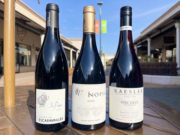 メインブログ画像