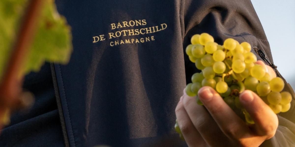 手に持ったシャルドネの実