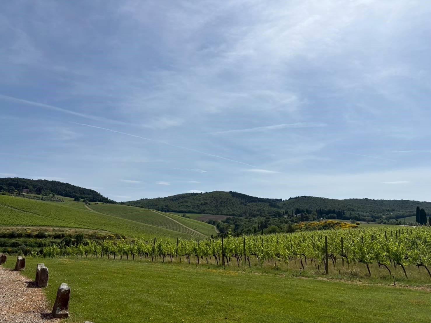 ブログメイン画像