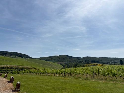 ブログメイン画像