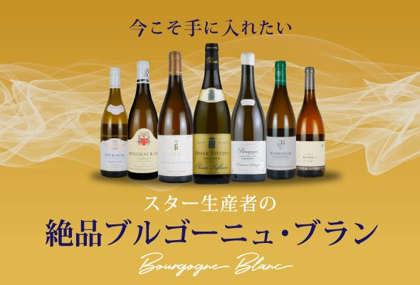 シャトー・ド・サントネイ CHATEAU DE SANTENAY エノテカ ワイン通販