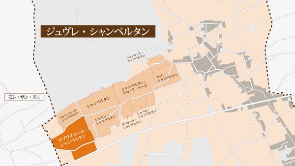マゾワイエール・シャンベルタンとは