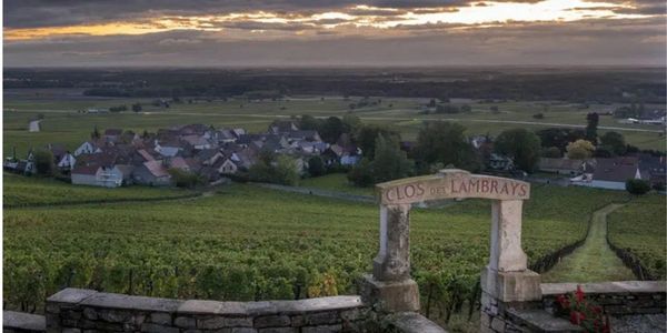 ドメーヌ・デ・ランブレイ / DOMAINE DES LAMBRAYS