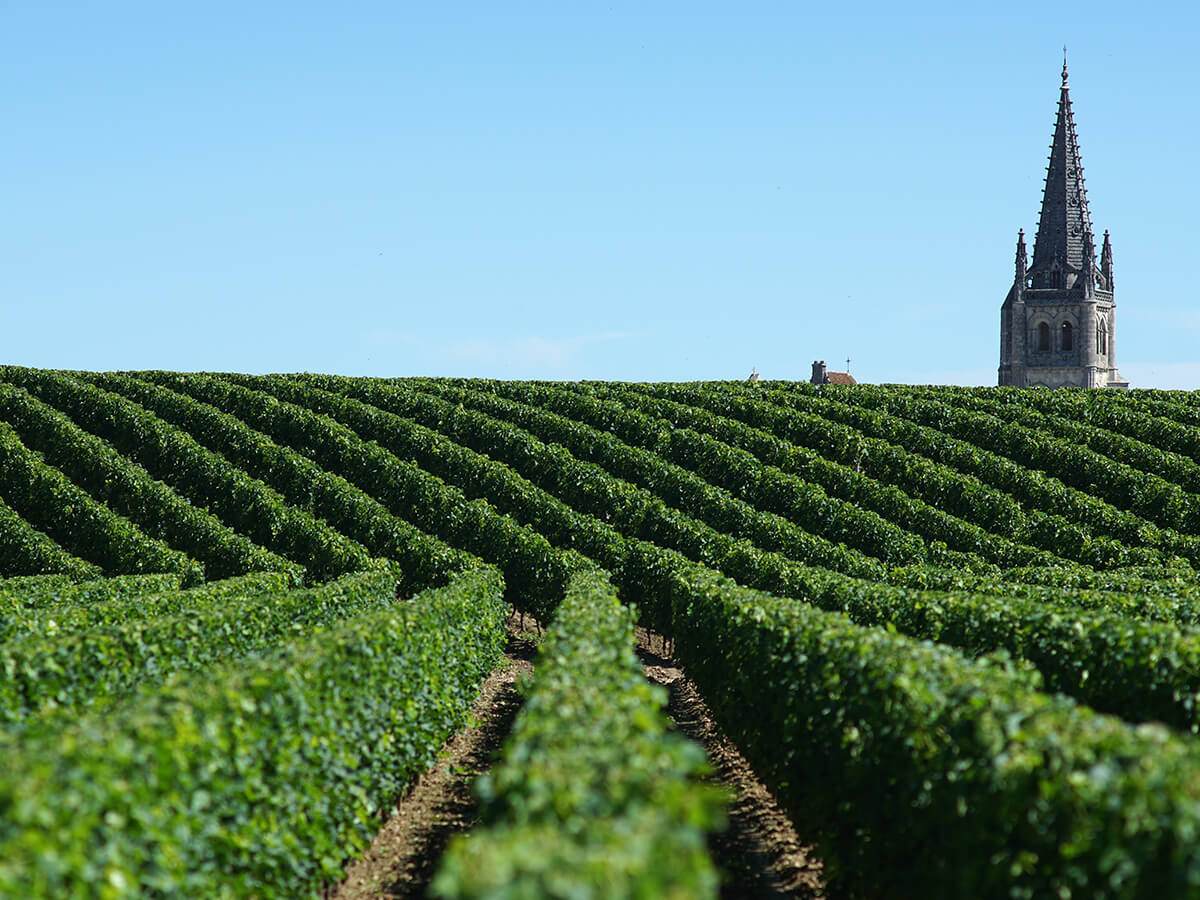 ボルドー右岸の代表産地「サン・テミリオン」で造られるワインの魅力