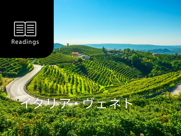 ワイン産地を知ろう！ヴェネト