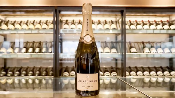 マルチヴィンテージで描く、コレクション246