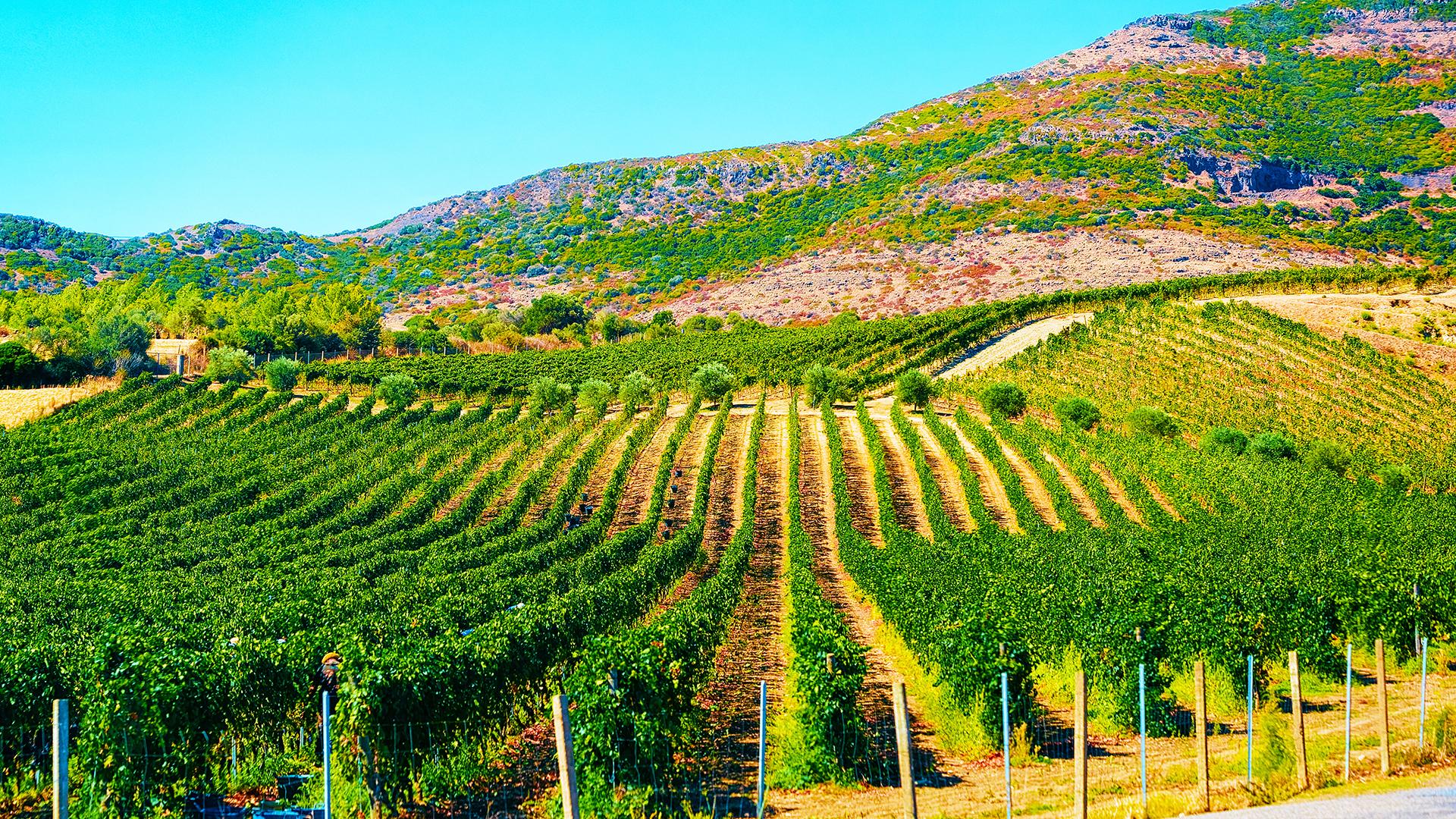 イタリア・サルデーニャ島