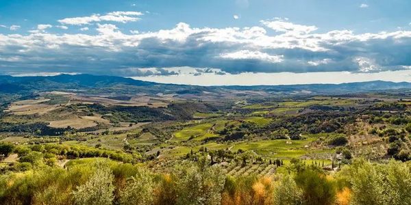 ポッジョ・ディ・ソット / POGGIO DI SOTTO