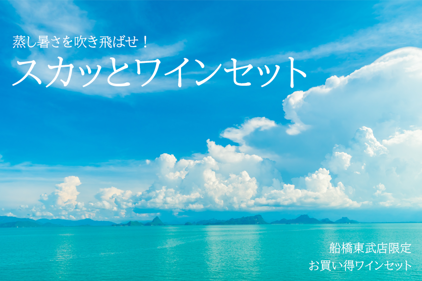 <6/1(月)販売開始！>スカッとワインセット