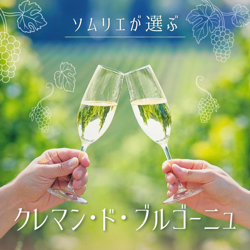 【2025年】おすすめクレマン・ド・ブルゴーニュ【ソムリエ厳選】