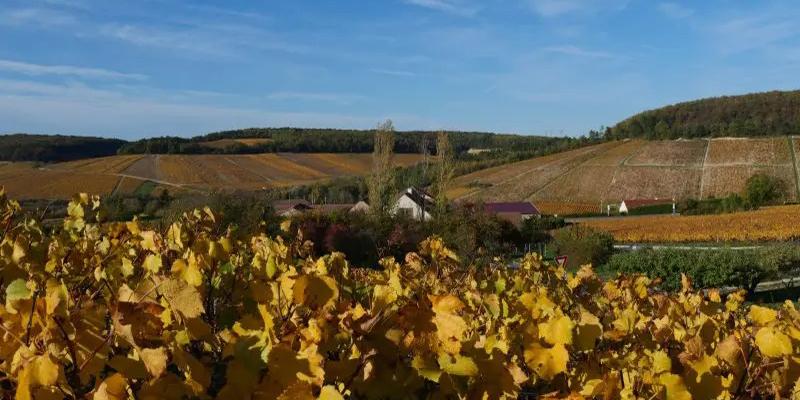 ジャン・ピエール・グロソ / JEAN PIERRE GROSSOT