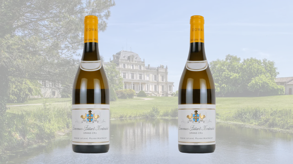 4月3日(金)～ドメーヌ・ルフレーヴ　ビアンヴニュ・バタール・モンラッシェ　2017・2023　２グラスセット