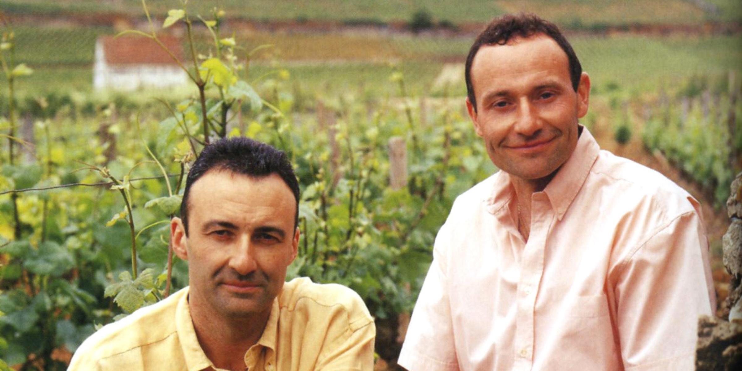 ロシニョール・トラペ / ROSSIGNOL TRAPET