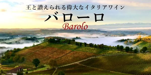 【渋谷ヒカリエ店】2020年ヴィンテージバローロを飲み比べ