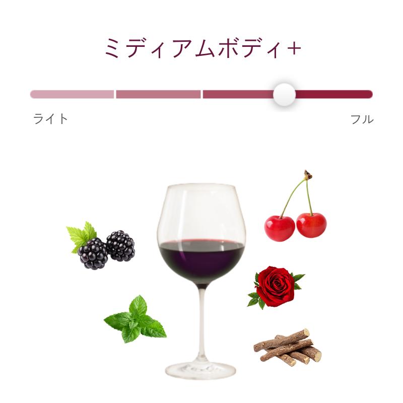 ブルネッロ・ディ・モンタルチーノ スガリーレイ / ピエヴェ・サンタ