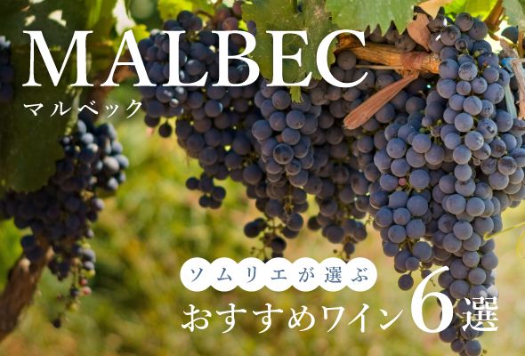 【2025年】おすすめマルベック6選【ソムリエ厳選】