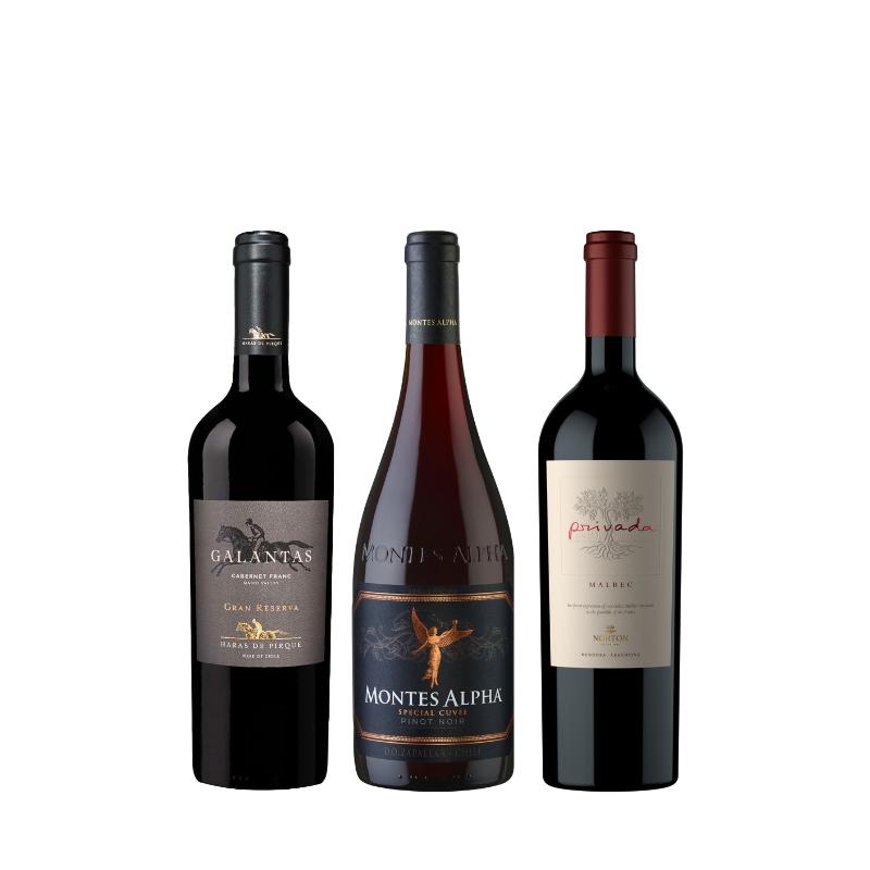 高評価生産者を厳選！赤ワイン3本セット AR2-1 [750nl×3] | エノテカ