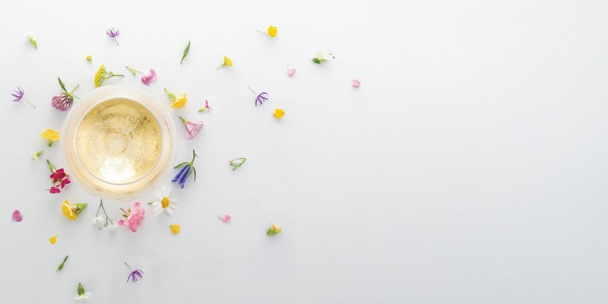 ルイ・ロデレール / LOUIS ROEDERER