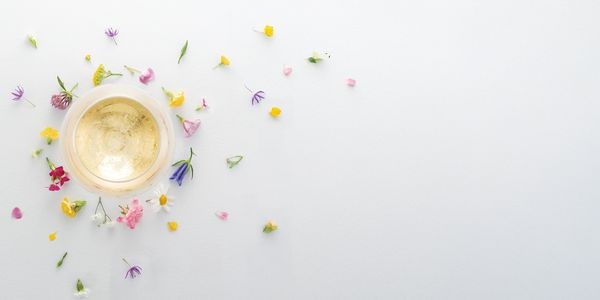 ルイ・ロデレール / LOUIS ROEDERER