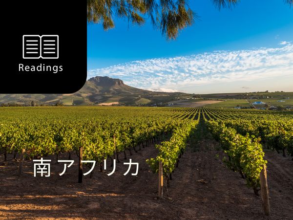 ワイン産地を知ろう！南アフリカ