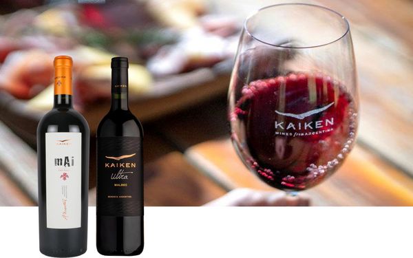 【カイケン】カイケンが手掛けるマルベックを堪能する、2種ワインセット