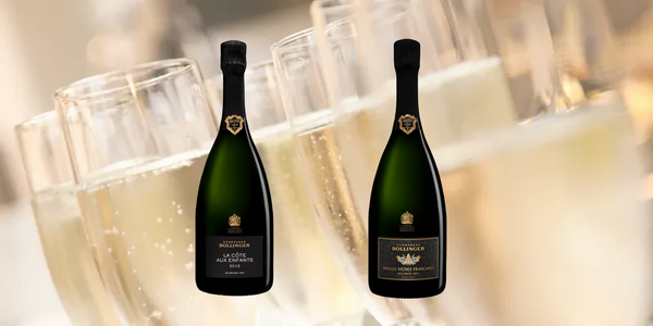 1月3日(土）～ボランジェ　2グラスセット