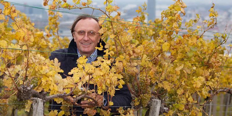 ヴァイングート・マイヤー・アム・プァールプラッツ WEINGUT MAYER AM PFARRPLATZ | エノテカ - ワイン通販