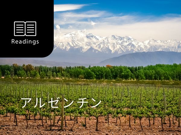 ワイン産地を知ろう！アルゼンチン