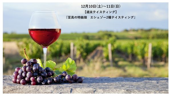 至高の特級畑　エシェゾー2種テイスティング