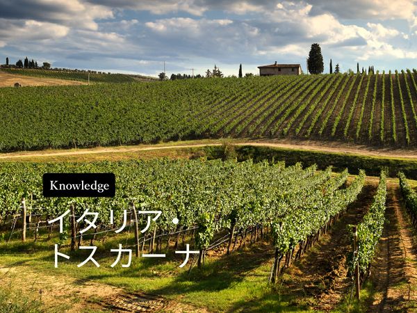 ワイン産地を知ろう！トスカーナ
