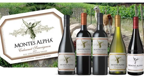 【入門編としてもおすすめ！】モンテス・アルファ5銘柄飲み比べテイスティング