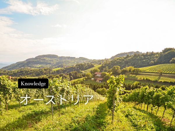 【ワイン産地を知ろう】オーストリアワインの特徴