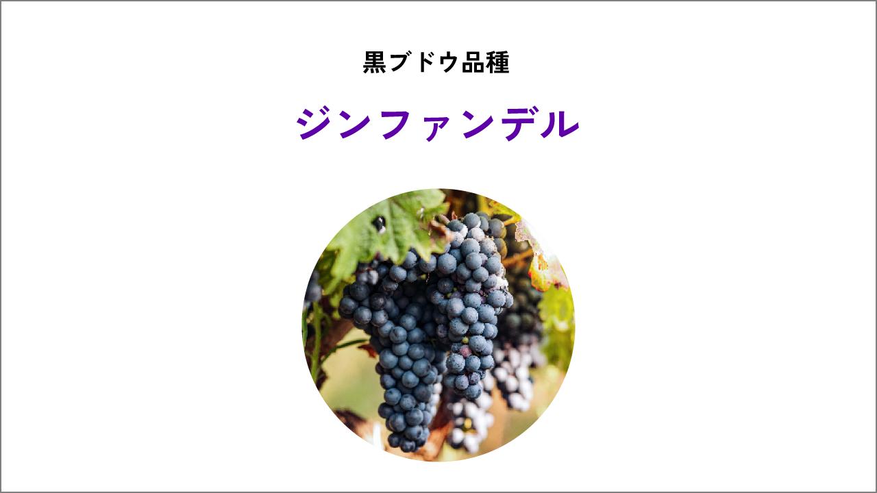 ジンファンデル