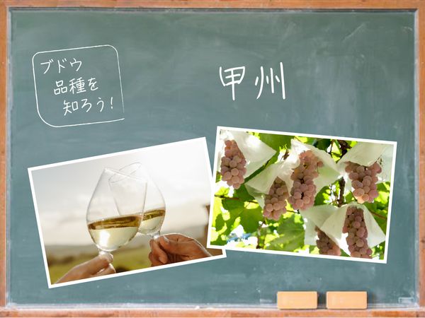 【ブドウ品種を知ろう】甲州とは？