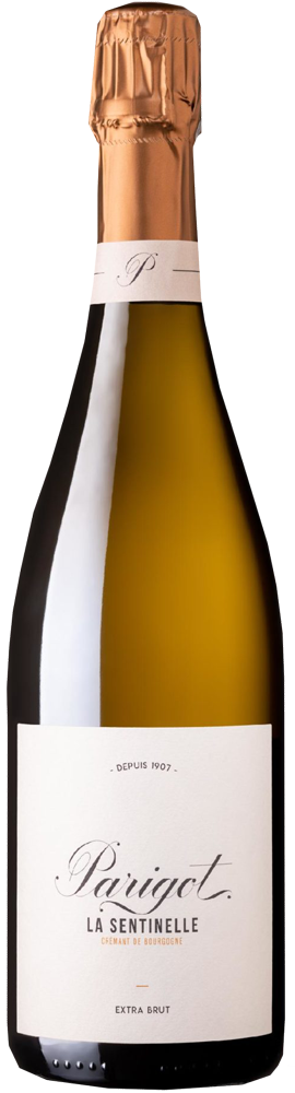 ラ・サンティネル・クレマン・ド・ブルゴーニュ・エクストラ・ブリュット | エノテカ - ワイン通販