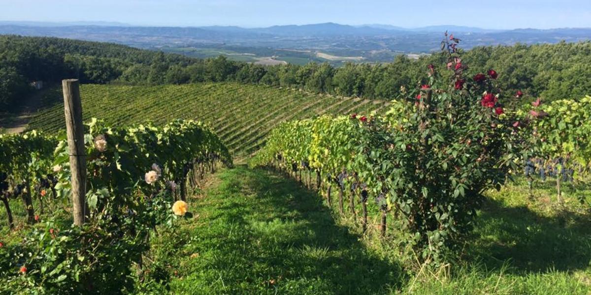 レ・ラニャイエ / LE RAGNAIE