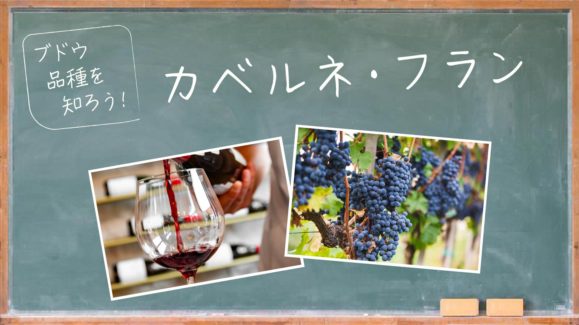 【ブドウ品種を知ろう】カベルネ・フランとは？